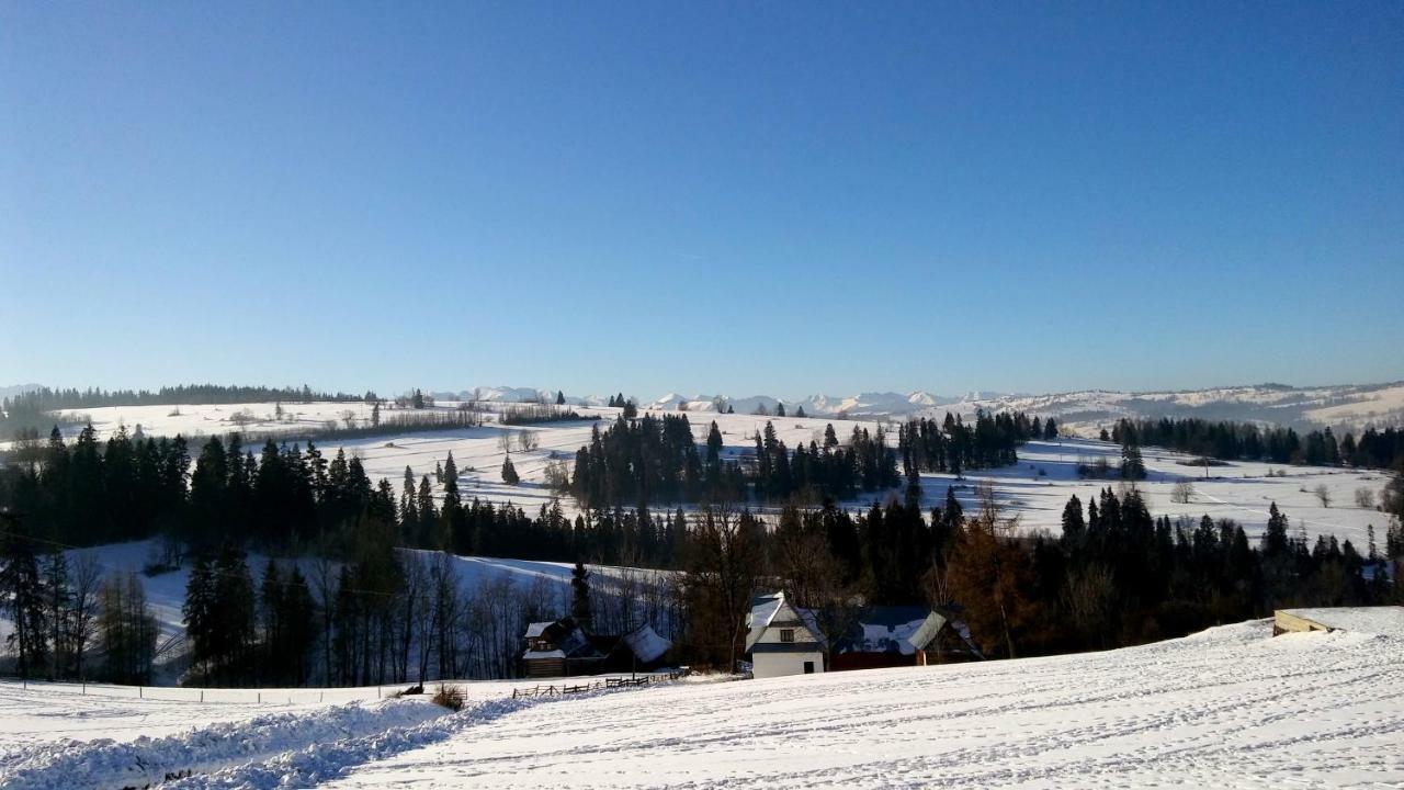 U Marii & Mariana Villa Leśnica Esterno foto